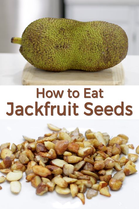 Did you know Jackfruit seeds are edible? So, don't throw them away. They can be boiled or roasted and also sautéd after. Used in a variety of recipes or just eaten as a snack. All you need are jackfruit seeds, water, salt, etc. They are incredibly nutrititious as well. If I can do it, you can do it. Let's get started! Jackfruit Seeds Recipe, Jack Fruit Recipes, How To Cook Jackfruit, Beef Stew Healthy, Jackfruit Seeds, Jack Fruit, Facial Routine, Jackfruit Recipes, Quick Vegan