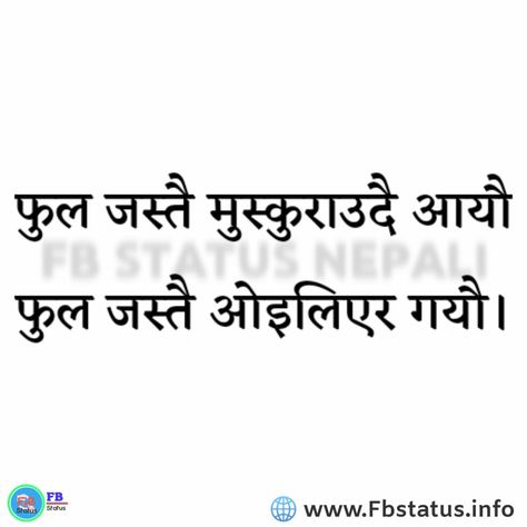 Love Status in Nepali Nepali Caption, Nepali Love Quotes, Love Status, Nepal, Bbc, Love Quotes, Bts, Quotes, Quick Saves