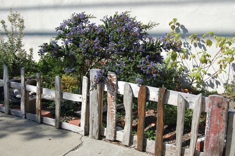 Love this driftwood fence for a garden border! Driftwood Fence, Wood Garden Fence, Garden Upcycle, Driftwood Garden, Border Garden, Fence Planters, Diy Garden Fence, Seaside Garden, Garden Border