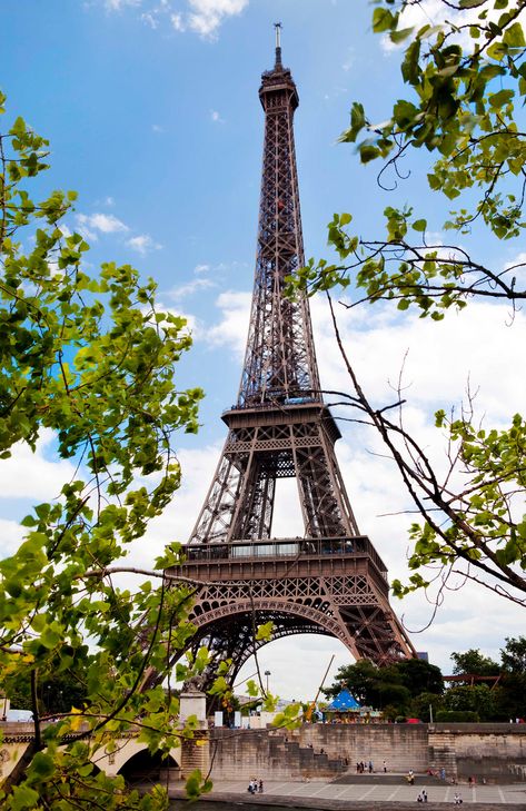 "The Eiffel Tower is a wrought iron lattice tower on the Champ de Mars in Paris, France. It is named after the engineer Gustave Eiffel, whose company designed and built the tower. Locally nicknamed \"La dame de fer\" (French for \"Iron Lady\") this tower gets more visitors per year than any other paid site. This photo was taken from across the River Seine and the trees were just blooming as this was a Paris spring. You have surely heard the song, April in Paris. This photo is vibrant and would a Paris Photography Eiffel Tower, April In Paris, Eiffel Tower Photography, Parisian Architecture, Iron Lady, River Seine, Gustave Eiffel, Paris Dream, Happy Father Day Quotes