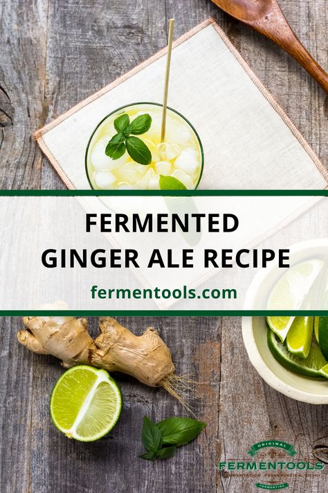 Fermented Ginger Ale Recipe by Fermentools Fermented Ginger, Probiotic Smoothie, Cooking With Ginger, Ginger Ale Recipe, Ginger Soda, Homemade Ginger Ale, Honey Lemonade, Ale Recipe, Ginger Drink