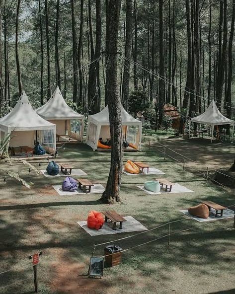 Camping Planning, Hostels Design, Forest Camp, Glamping Resorts, Children Park, Safari Tent, Resort Design, Rural Retreats, Backyard Playground