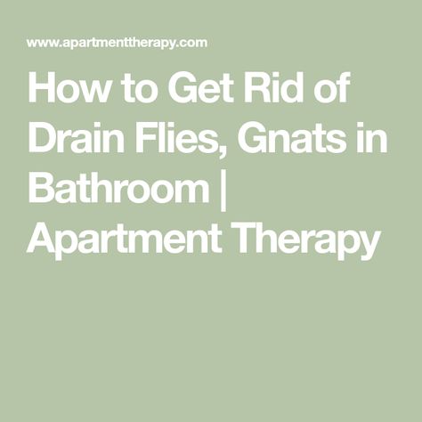 Drain Flies, How To Get Rid Of Gnats, Household Pests, Bathroom Apartment, Food Vocabulary, Black Kitchen Sink, Old Farmers Almanac, Over Sink, Drain Cleaner