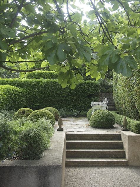 Garden Steps, Formal Garden, Have Inspiration, Formal Gardens, The Secret Garden, French Garden, Chelsea Flower Show, Gorgeous Gardens, Green Garden