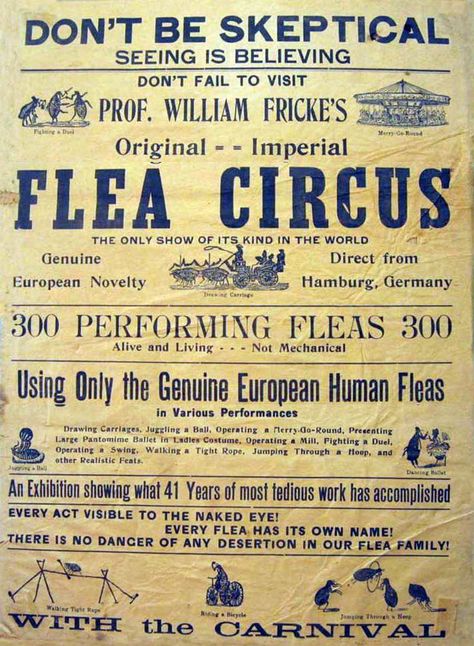 . Flea Circus, Vintage Circus Posters, Circus Sideshow, Creeped Out, Circus Poster, Vintage Circus, Circus Party, Wish You Are Here, Aesthetic Images