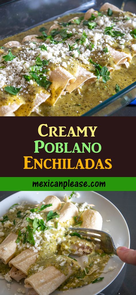 Poblano Pepper Enchilada Sauce, 12 Tomatoes Poblano Sour Cream Enchiladas, Poblano Recipes Healthy, Green Poblano Sauce, Roasted Poblano Enchilada Sauce, Poblano And Chicken Recipes, Roasted Poblano Chicken Enchiladas, Poblano Sauce Enchiladas, Roasted Poblano Sauce