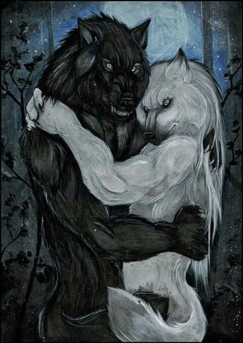 Werewolf Drawing, Alpha Werewolf, Alpha Wolf, Wolf Spirit Animal, Werewolf Art, Geniale Tattoos, Vampires And Werewolves, Wolf Wallpaper, Wolf Love