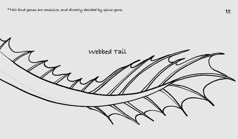 Dragon Tails Drawing, Dragon Tail Drawing Reference, How To Draw Dragon Wings, Dragon Project, Scale Drawing, Wings Of Fire Dragons, Dragon Sketch, Dragon Wings, Easy Doodles Drawings