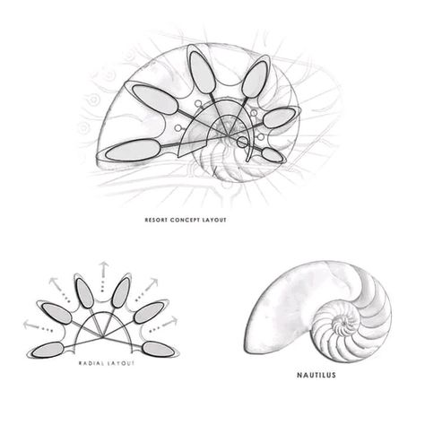 Organic Shaped Architecture, Organic Forms Design Architecture, Organic Modular Architecture, Organic Forms Architecture, Form Concept Architecture, Organic Architecture Concept Sketch, Architectural Forms Concept Shape, Biomimicry Architecture Concept, Organic Architecture Plan