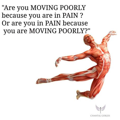 Physiotherapy Motivation Quotes, Movement Is Medicine Quote, Physiotherapist Quotes, Physiotherapy Quotes, Physiotherapy Aesthetic, Physical Therapy Quotes, Billboard Ideas, Physiotherapy Exercises, Pilates Quotes