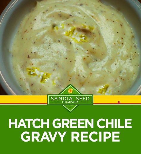 Green Chili Cheese Sopita, Green Chili Gravy New Mexico, Green Chili Mashed Potatoes, Green Chile Mashed Potatoes, Green Chile Gravy, Green Chili Gravy Recipe, Green Chili Gravy, Roux Recipes, Holiday Mashed Potatoes