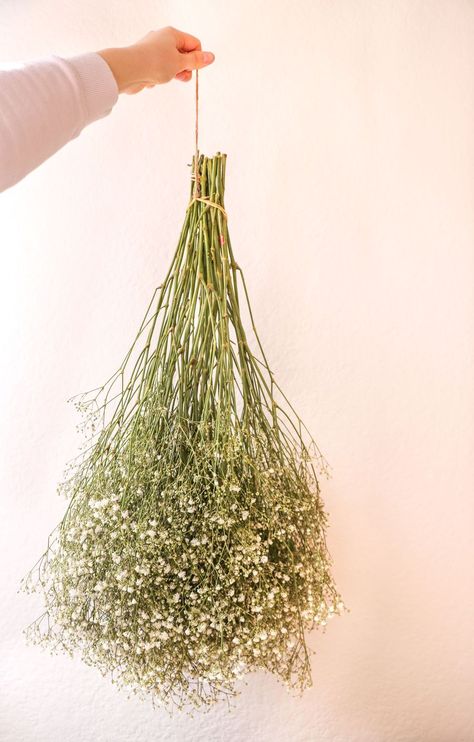 How Do You Dry Flowers, How To Dry A Bouquet Of Flowers, How To Dry Out Flowers, Diy Dried Flower Bouquet, Flowers For Drying, Nature Crafting, How To Dry Flowers, Dried Baby Breath, Drying Flowers