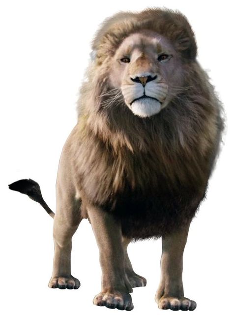 King Logo Png Hd, Lion Side View, Jadis The White Witch, Narnia Aslan, Logo Png Hd, Lion King Logo, Narnia Movies, Witches Castle, Female Lion