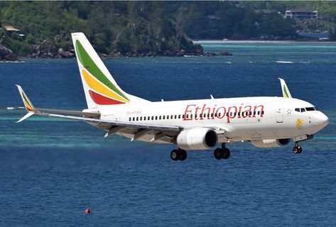 An Ethiopian Airlines B737-700 seen here in this photo at Mehe in November 2021 Red Carpet Background, Ethiopian Airlines, Airplane Photography, Photo Frame Wallpaper, Circle Logo Design, Heart Iphone Wallpaper, Pink Art Print, Framed Photo Collage, Allah Photo