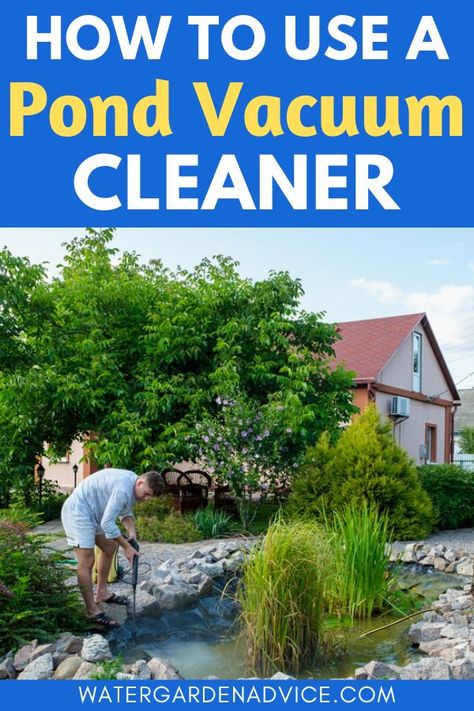 cleaning a pond with a pond vacuum cleaner How To Keep Duck Pond Clean, Algae In Ponds, Digging A Pond, Cleaning Ponds Tips, How To Keep Pond Water Clear Naturally, Pond Cleaning, Fountain Ideas, Garden Ponds, Pond Maintenance