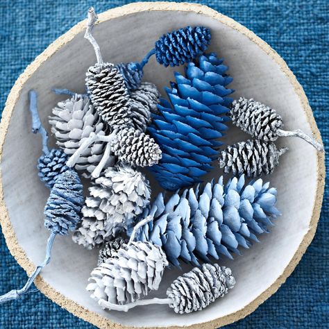 white-blue-painted-pinecones-00f3845a Simple Holiday Decor, Painted Pinecones, Blue Christmas Decor, Silver Christmas Decorations, Hanukkah Decorations, Blue Christmas Tree, Diy Plant Stand, Cones Crafts, Pine Cone Crafts