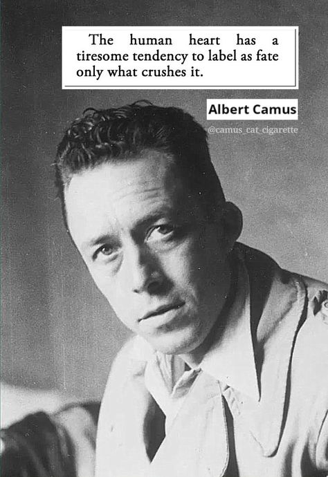 Coffee Black And White, Motivational Thoughts For Students, Albert Camus Quotes, Camus Quotes, Harvard Yale, Motivation Psychology, The Fallen Angel, Academic Validation, Writer Quotes