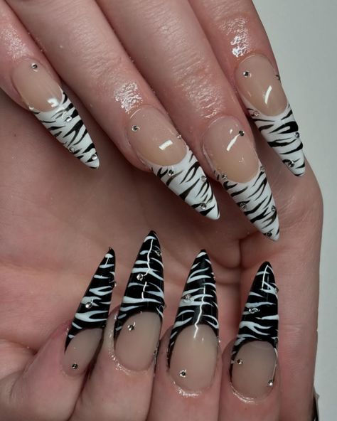 u already know with the zebra stripes and the red bottomsssss👠🦓 Nail Ideas Animal Print, Black And White Zebra Nails, Almond Zebra Nails, Purple Zebra Nails, Simple Goth Nails, Nail Art Inspo Aesthetic, Zebra Print Nails Designs, Black Zebra Nails, Zebra French Tip Nails