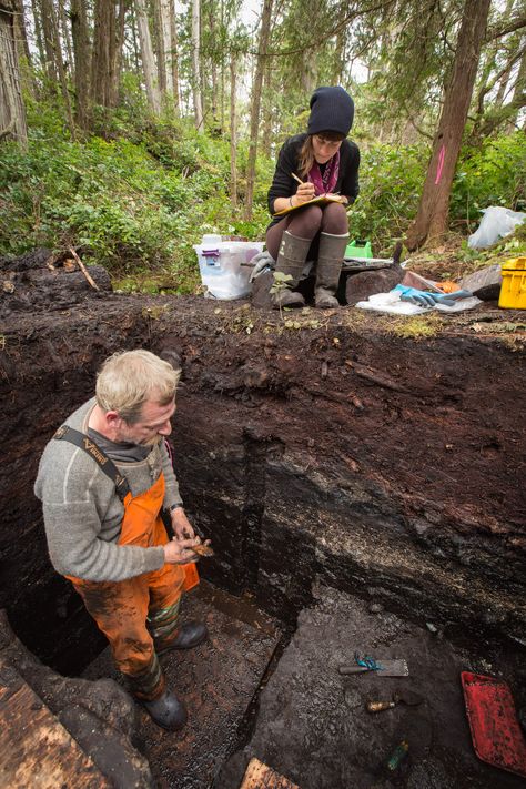 An older-than-expected archaeological dig in British Columbia is building the case for a long-inhabited Pacific coast. Ice Age Village, Archaeology Dig, University Of Victoria, People Come And Go, Ancient Village, Archaeological Discoveries, The Pyramids, Canadian History, Oral History