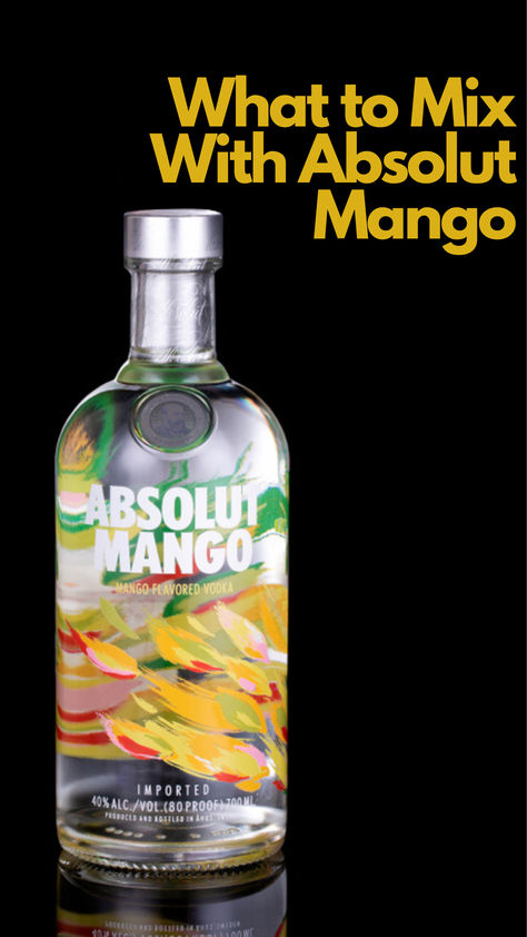 11 Drinks to Mix with Absolut Mango Mango Vodka Drinks Recipes, Pool Dancing, Absolut Mango, Mango Vodka, Mango Martini, Mango Drink, Vodka Recipes Drinks, Mango Cocktail, Vodka Mixes