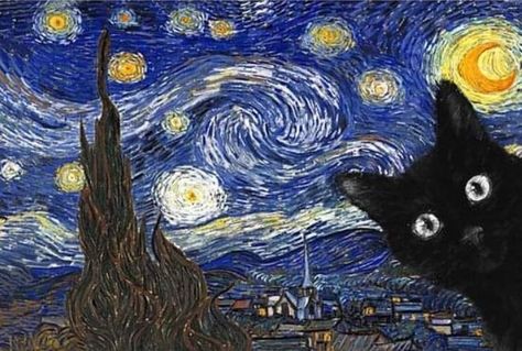 Meow Art, Cute Cat Illustration, Arte Van Gogh, Canvas Painting Tutorials, Black Cat Art, Famous Artwork, Van Gogh Art, Starry Night Van Gogh, True Art