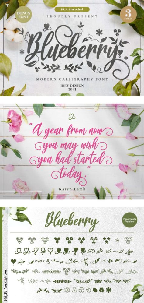 Tons of visuals for your blog | business, including this unique and elegant Blueberry Font.
#fonts #branding #blogaesthetic Blog Business, Modern Calligraphy Fonts, Handwritten Fonts, Handwritten Font, Calligraphy Fonts, Modern Fonts, Blog Design, Visual Content, Modern Calligraphy