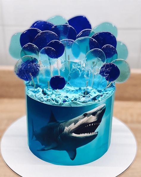 Shark Birthday Cake Ideas Images (Pictures) Stranger Cake, Shark Cakes For Kids Boys, Shark Cake Ideas, Shark Themed Cakes, Aquarium Birthday, Animal Baking, Shark Cakes, Shark Birthday Cake, Shark Birthday Cakes