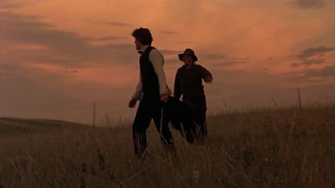 Days of Heaven. (1978, Terrence Malick). Cinematography by N?stor Almendros. Parejas Aesthetic, Movies Stills, Days Of Heaven, Heaven Movie, Terrence Malick, Yeah Yeah Yeahs, Best Costume Design, Oscar Award, Best Cinematography