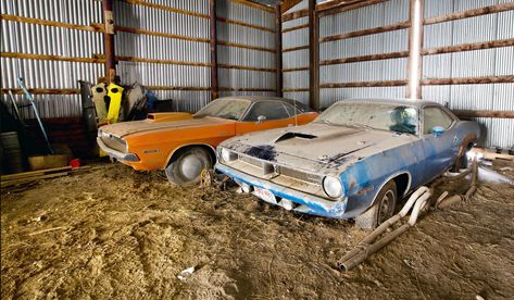 50 Coolest Barn Finds | Classic & Rare Muscle Cars Found Barn Finds Classic Cars, Project Cars For Sale, Car Finds, Classic Trucks Vintage, Junkyard Cars, Barn Find Cars, Abandoned Vehicles, Car Barn, Rusty Cars