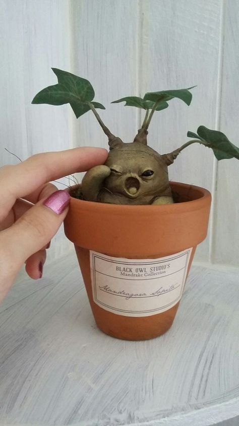 Mandrake Clay Diy, Harry Potter Sculpture, Mandrake Art, Clay Mandrake, Diy Mandrake, Mandrake Harry Potter, Neil Patrick, Harry Potter Halloween, Neil Patrick Harris