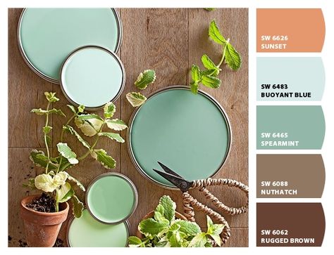 Paint colors from Chip It! by Sherwin-Williams Mint Green Paints, Green Wall Color, Blue Green Paints, Pista Green, Neutral Paint Colors, Green Paint Colors, Nature Color Palette, Decorating Themes, Storing Paint