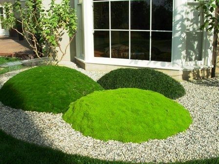 Grass mounds - I think the plants here are Korean velvet grass, cushion plant and mini mondo. So interesting! Zoysia Tenuifolia, Indoor Herbs, Cacti Garden, Planters Indoor, Lost Gardens Of Heligan, Plants Hanging, Lost Garden, Human Values, Succulent Planters