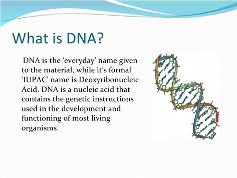 Question 1 What is DNA What Is Dna, Microbiology Study, Intense Quotes, Biology Facts, Bible Topics, Ap Biology, Study Flashcards, Nucleic Acid, Molecular Biology