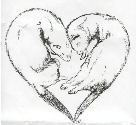 Ferret tattoo idea Ferret Line Art, Ferret Tattoos, For Women Tattoo Design, Stencil Tattoos, Women Tattoo Design, Ferret Tattoo, Ferret Art, Otter Tattoo, Ferret Stuff