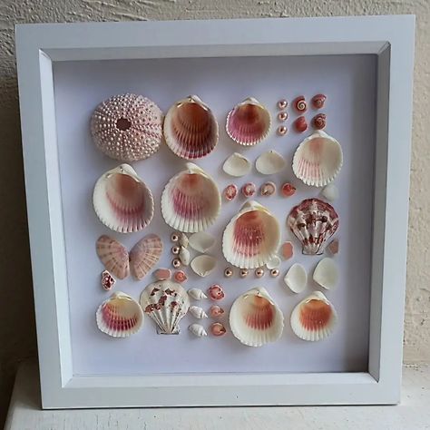 Shell Shadow Box Ideas, Shadow Boxes Ideas, Shell Projects, Tiny Shells, White Effect, Shell Ideas, Shell Craft, Sailors Valentine, Pink Pearls