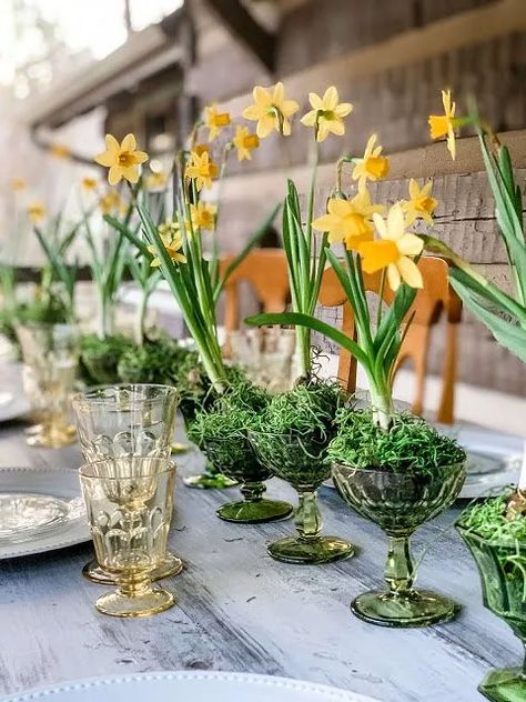 Welcome to my yellow and green Spring table! It’s full of vintage glassware and pretty blooming daffodils! I decided to keep my Spring tablescape fairly simple this year. A simple place setting. A simple centerpiece. My kids helped me set this table and we ate dinner here.I found these sweet blooming daffodil bulbs last week. I always try to buy a living plant instead of cut flowers if possible. After I'm done with them here, I'll plant them in the yard. I placed each daffodil b… Green Vintage Glassware, Daffodil Wedding, Spring Table Centerpieces, Wooden Plant Pots, Spring Table Settings, My Yellow, Spring Centerpiece, Daffodil Bulbs, Spring Tablescapes