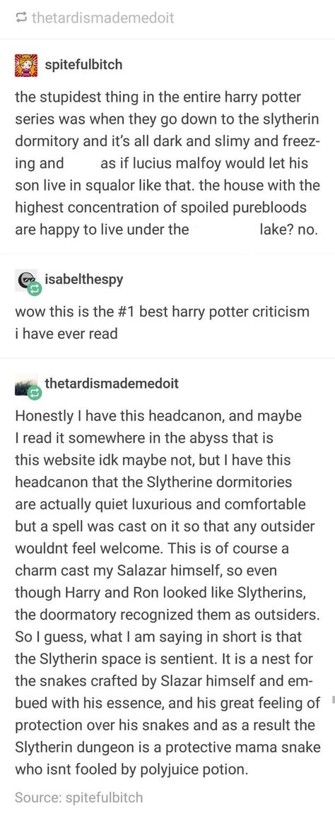 Harry Potter Obscurus, Slytherin Dorms, Slytherin Headcanon, Slytherin Dorm Room, Slytherin Hair, Harry Potter Theories, Salazar Slytherin, Slytherin Common Room, Slytherin Harry