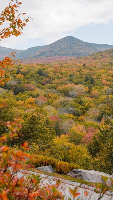 Janna | Travel & Lifestyle on Instagram: "Best stops for you New England roadtrip ⬇️

• Stowe, Vermont
• Woodstock, Vermont
• Lincoln, New Hampshire
• Boston, Massachusetts
• Portland, Maine
• Kennebunkport, Maine
• Bar Harbor, Maine

Send this to someone you want to go on a fall road trip with in New England! 🍁
__________
#newenglandfall #fallinnewengland #newhampshire #franconianotch #flumegorge #franconianotchstatepark #franconia #newenglandroadtrip #livefreenh #visitnh #falltravel #fallvibes #cozyvibes
roadtrip new england, new england fall foliage, fall in new england, flume gorge, new hampshire road trip, things to do in new hampshire, new england fall, fall leaf peeping, fall foliage destinations, autumn destinations, fall aesthetic, autumn aesthetic, fall vibes, autumn vibes" Tennessee In The Fall, Boston Aesthetic Fall, Portland Maine Fall, New England Autumn Aesthetic, Fall Aesthetic New England, Autumn In New England, Autumn Aesthetic New England, Lincoln New Hampshire, New Hampshire Fall Foliage