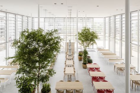 Canteen Design, Lounge Seating Area, Industrial Hall, Glass Pavilion, Hall Flooring, Exposed Concrete, Glass Cube, Empty Spaces, Minimalist Interior Design