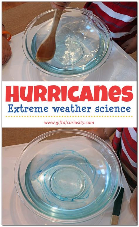 Make a hurricane in your kitchen! What a fun way extreme weather science activity. I'm going to do this with my kids. || Gift of Curiosity Weather Art For Kids, Clouds Craft, Weather Science Activities, Weather Unit Study, Weather Experiments, Weather For Kids, Weather Activities For Kids, Teaching Weather, Weather Lessons