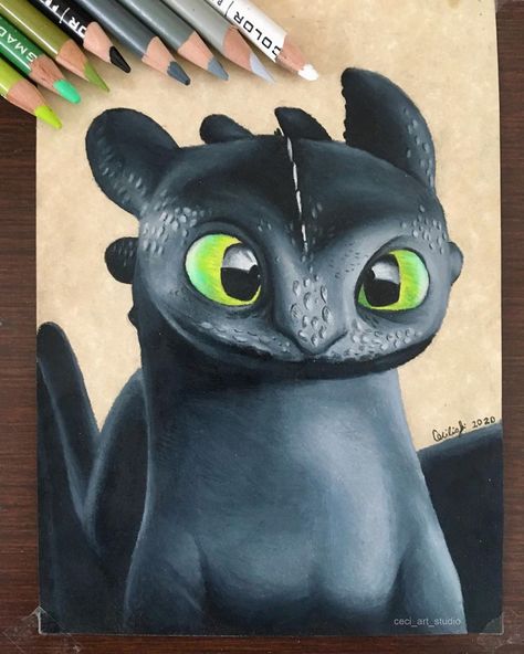 Cecilia Anchustegui on Instagram: “How to train your dragon is one of my favorite movies so I drew Toothless seeing Hiccup ❤️ . . #howtotrainyourdragon #toothless…” Toothless Sketch, Toothless Drawing, Cute Toothless, Toothless And Stitch, Httyd Art, My Favorite Movies, Dragon Sketch, Cool Dragons, Surfboard Art