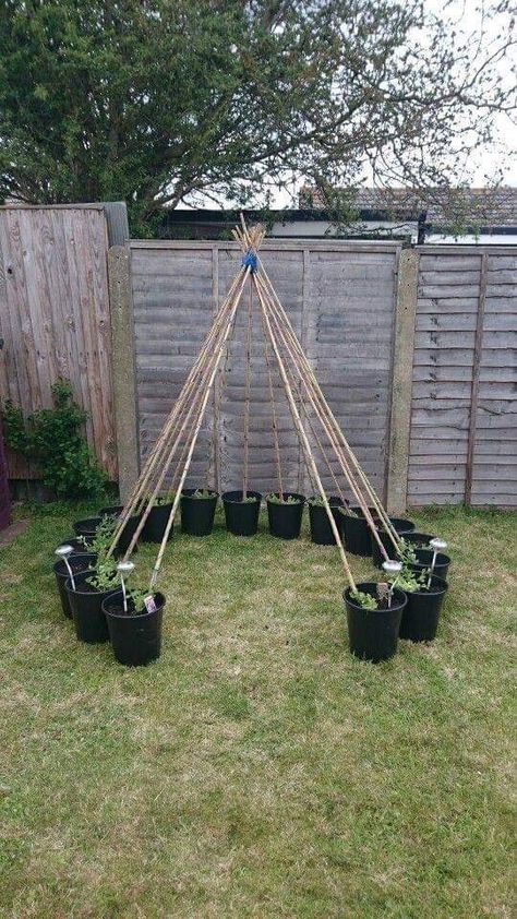 Garden Ideas To Make, نباتات منزلية, Diy Raised Garden, Raised Garden Beds Diy, Garden Makeover, Veg Garden, Backyard Diy Projects, Kraf Diy, Garden Yard Ideas