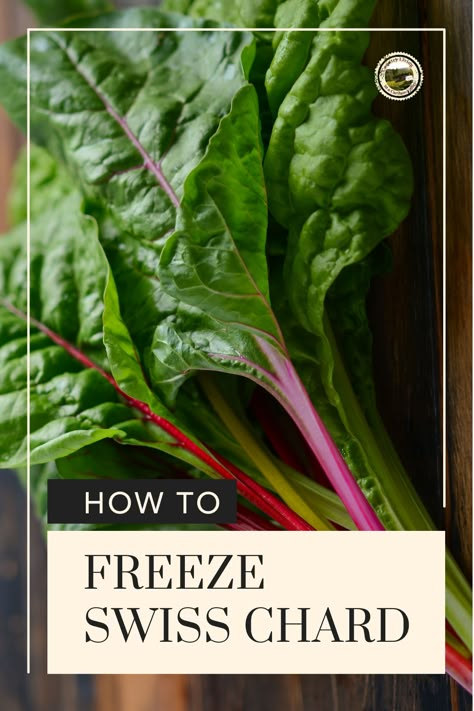 How To Freeze Fresh Swiss Chard, Swiss Chard Storage, Freezing Swiss Chard Without Blanching, Swiss Chard Freezing, Storing Swiss Chard, Can You Freeze Swiss Chard, Canning Swiss Chard, How To Preserve Swiss Chard, How To Freeze Swiss Chard