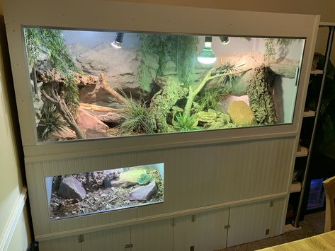 My Yellow Ackie Monitor enclosure build with built in storage and end bookshelf. Built In Reptile Enclosure, Ackie Monitor Enclosure, Monitor Lizard Enclosure, Ackie Monitor, Monitor Enclosure, Lizard Enclosure, Reptile Background, Lizard Cage, Vivarium Ideas