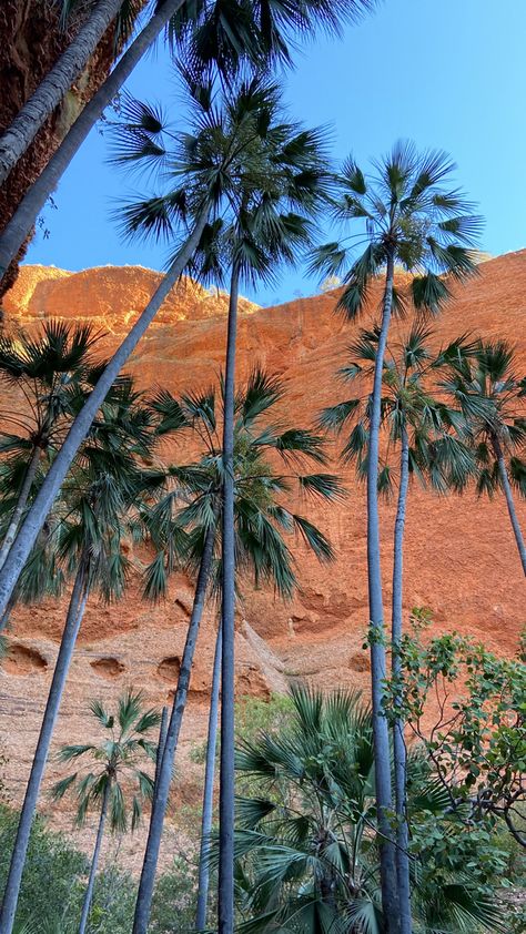 California Desert Aesthetic, Arizona Palm Trees, Palm Springs Aesthetic, La Aesthetic, California Wallpaper, Aesthetic Blog, Roadtrip America, Desert Aesthetic, New York Wallpaper