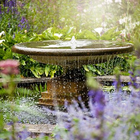 care-for-water-fountain-0719_sq-onecms Peroxide Uses, Hydrogen Peroxide Uses, Space Garden, Fountains Backyard, Sensory Garden, Outdoor Fountain, Garden Fountain, Hydrogen Peroxide, Water Feature