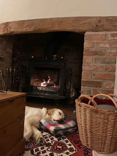 Dog By Fireplace, Golden Retriever Lake, Gold Retriever, Christmas Golden Retriever, Cornish Pixie, Countryside Life, Old House Interior, Mill House, Ideal House