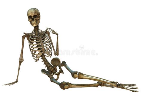 Human Skeleton. 3D digital render of an old human sitting and smiling skeleton i #Sponsored , #ad, #PAID, #digital, #smiling, #skeleton, #Skeleton Sitting Skeleton, Smiling Skeleton, Skeleton Sitting, Human Skeleton Anatomy, Human Anatomy For Artists, Skull Reference, Skeleton Anatomy, Biology Science, Skeleton Illustration