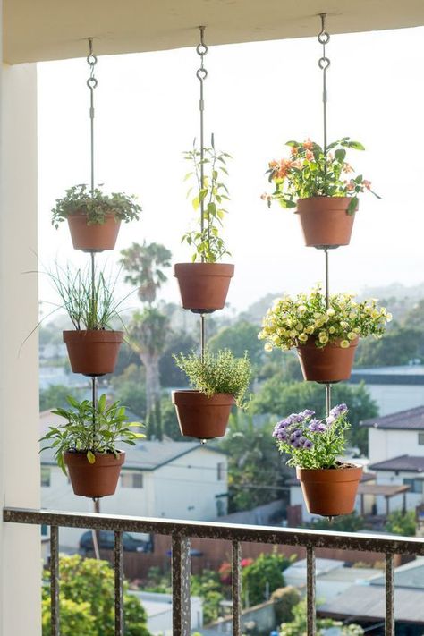 Flowerpot, Plant, Interior design, Houseplant, Annual plant, Vase, Garden, Plant stem, Herb, Klein Balkon Decor, Apartment Patio Gardens, Apartment Balcony Garden, Plants Hanging, Jardim Diy, Small Balcony Garden, نباتات منزلية, Vertical Garden Diy, Balcony Plants