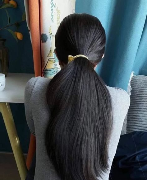 Thick Dense Hair, Long Thick Ponytail, Hair Manifestation, Very Thick Hair, Dense Hair, Huge Hair, Long Shiny Hair, Long Hair Images, Long Indian Hair